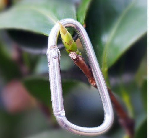 Hook Buckle Mosqueton For Camping